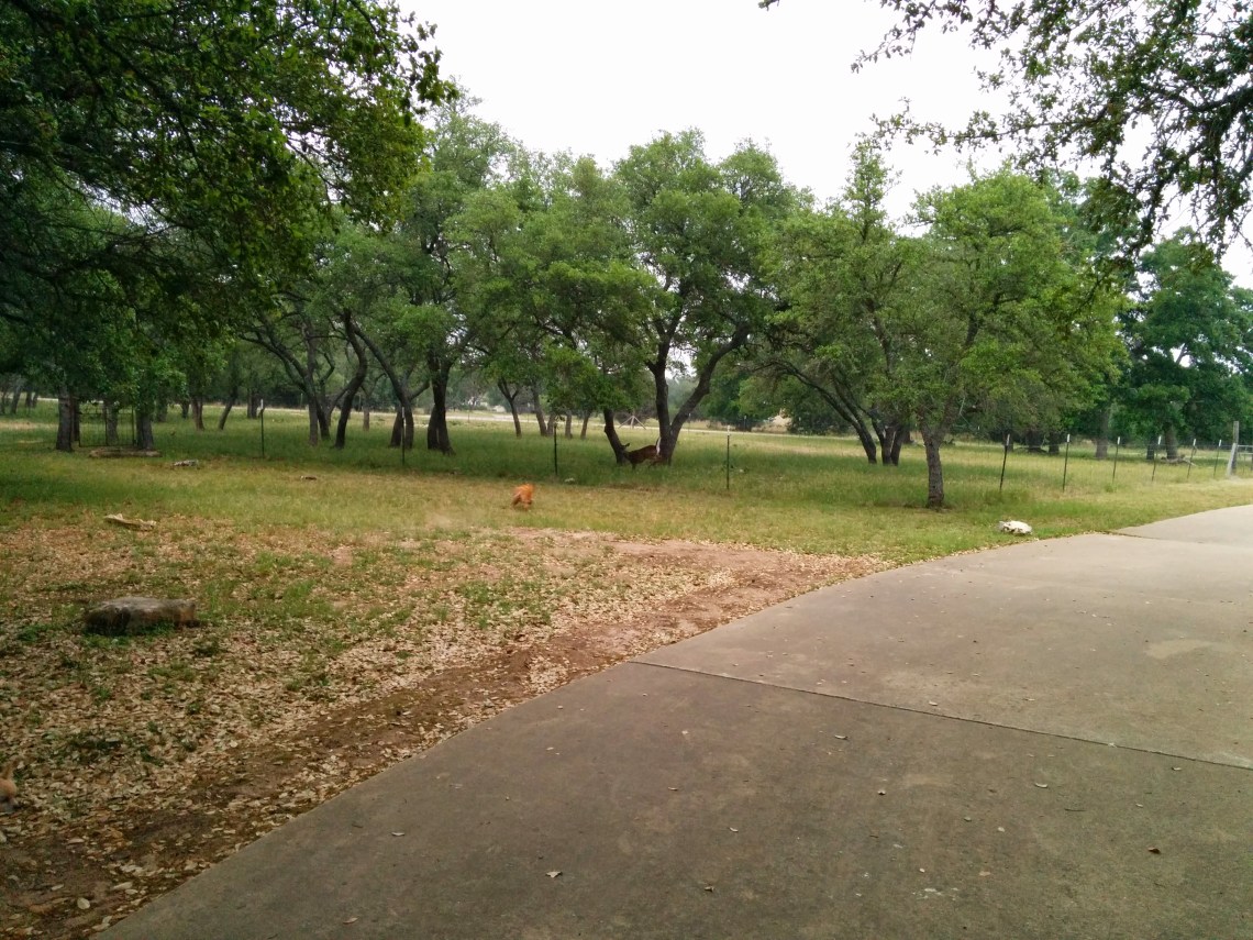 IMG_20140509_071642_1