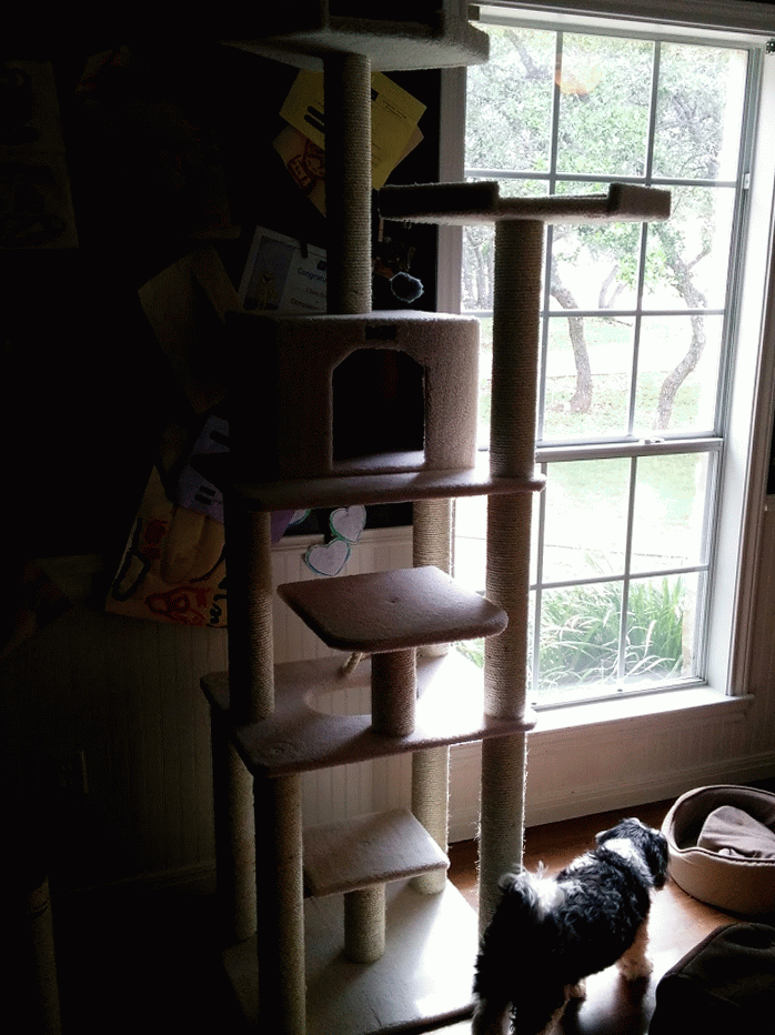 IMG_20140622_103753-MOTION